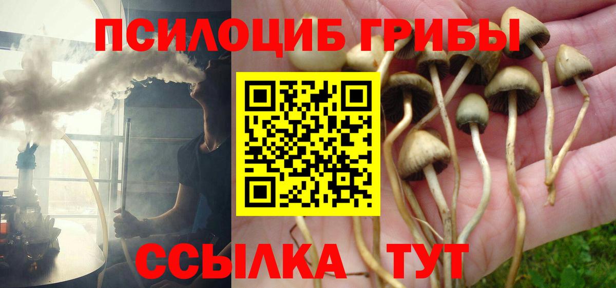 Галлюциногенные грибы мухоморы Ревда